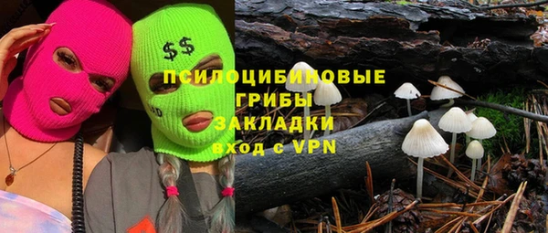 мдпв Алзамай